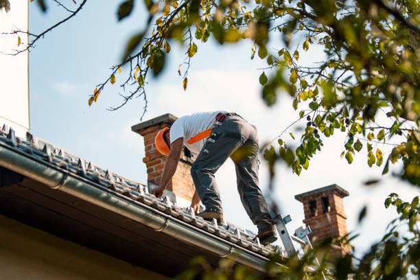 Best Storm Damage Roof Repair  in Blacklick Estates, OH